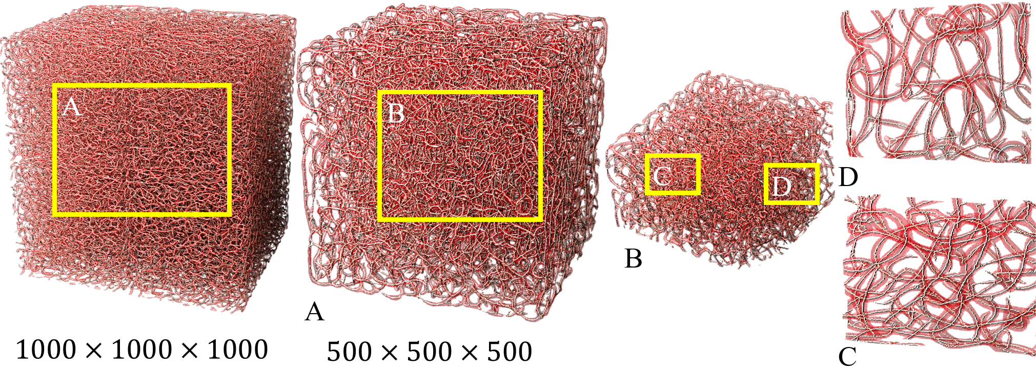 A SCALABLE AND MODULAR PIPELINE FOR SYNTHESIZING AND RECONSTRUCTING BIOLOGICAL NETWORKS-teaser